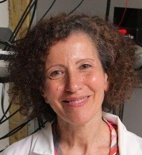 Uncertainty in the Brain: The Power of Curiosity and Exploration in Attention and Learning