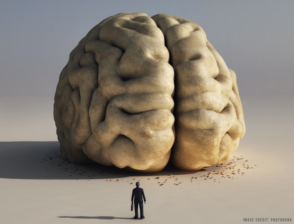 Nope: Brain Training Doesn’t Work, Volume 262…