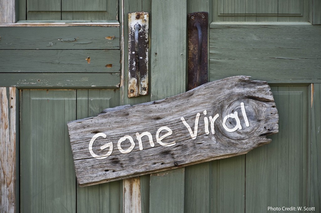 Research Morsel: Digital Media vs. Flourishing