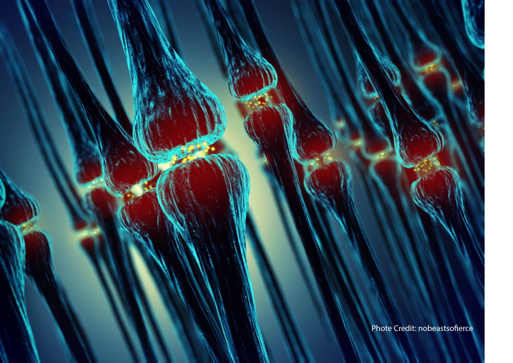 Getting the Best Advice about Learning