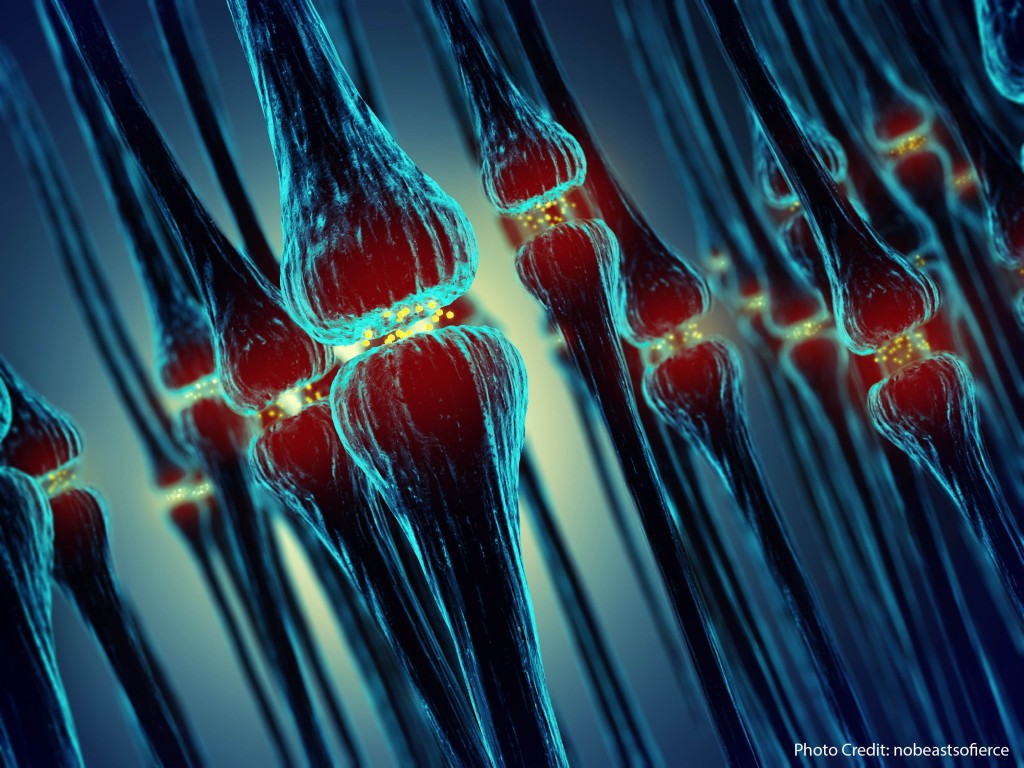 What do teachers need to know about neurons?