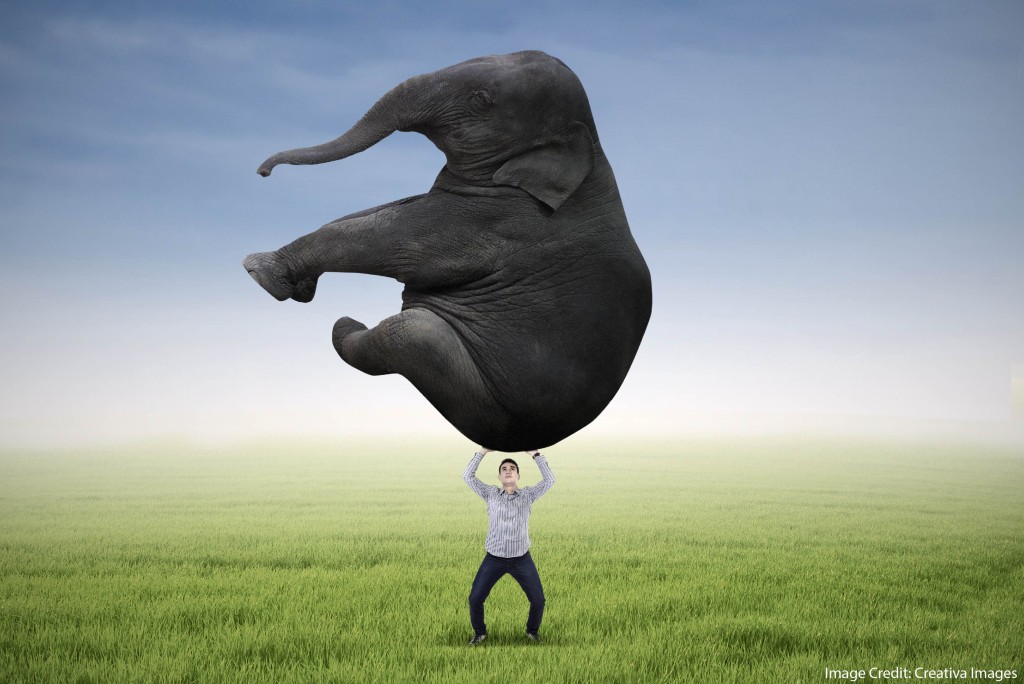 Lightening the Cognitive Load