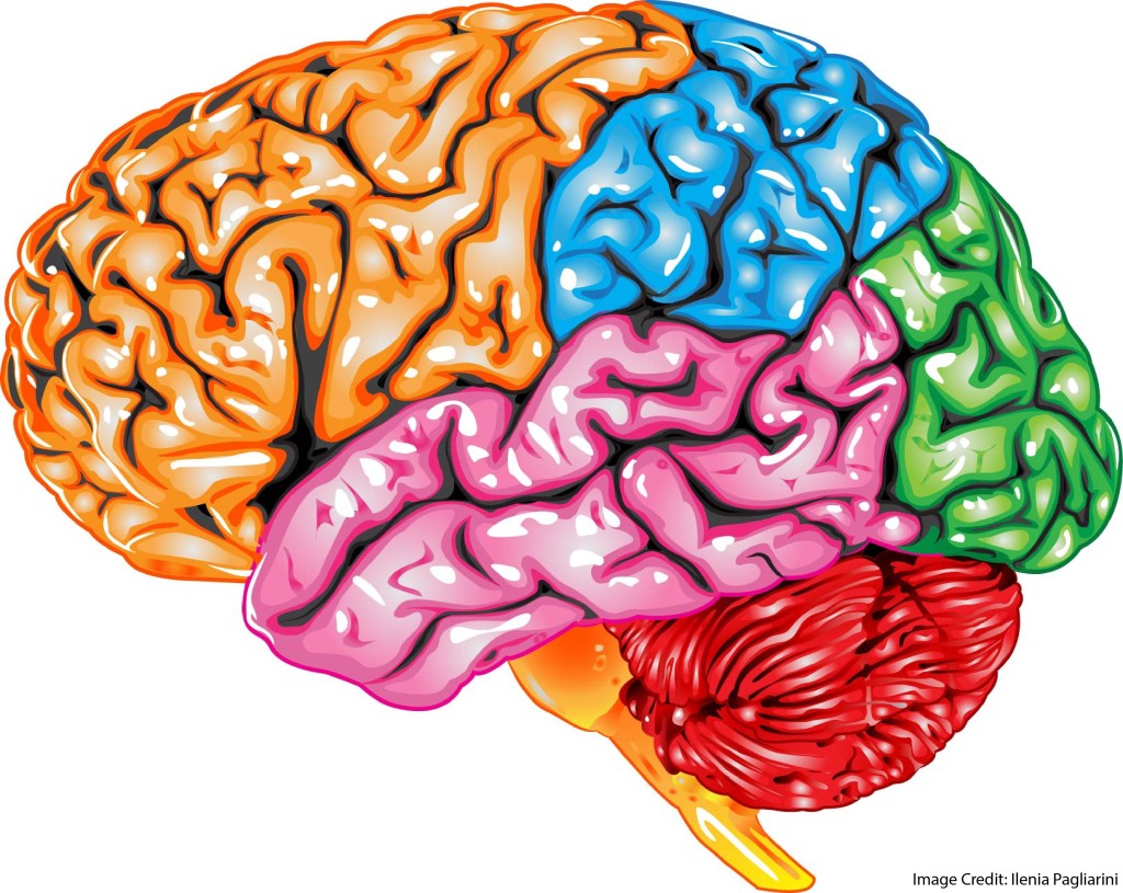 Regions or Networks, Take 2