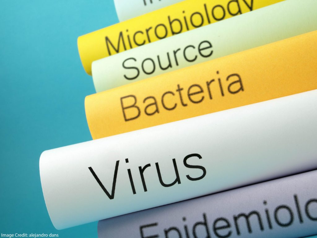 Daring to Flip the Public Health Classroom