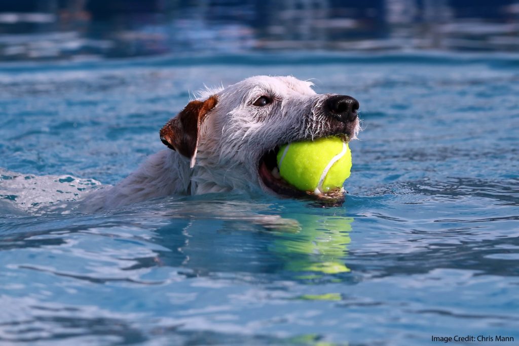 The Limits of Retrieval Practice, Take II…