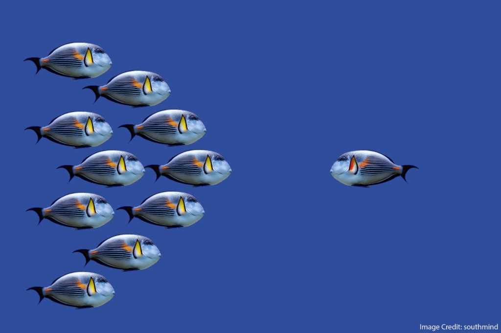 Why Do Teachers Resist Research? And, Why Should We?