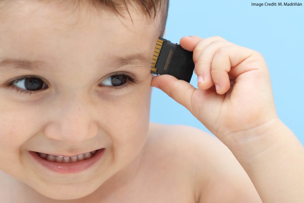 Obsessed with Working Memory, Part II