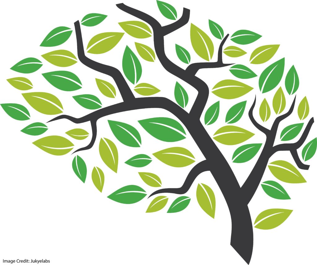 The Mindset Controversy: Carol Dweck Speaks…