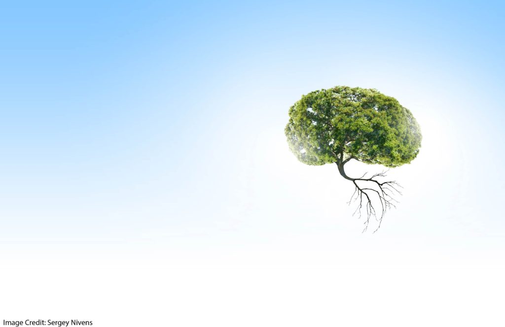 Growing Mindsets in Argentina? [Repost]