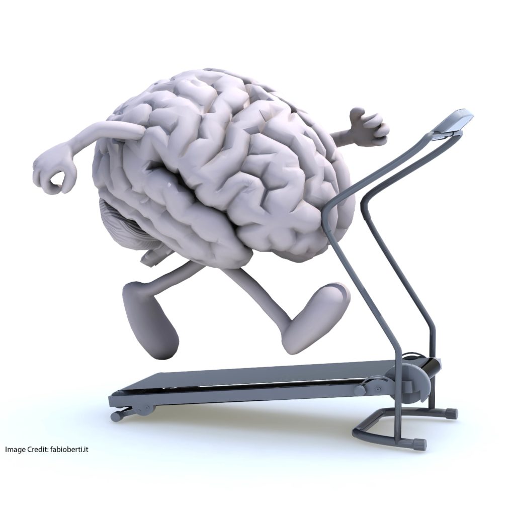 “The” Effect of “Exercise” on “the Brain”
