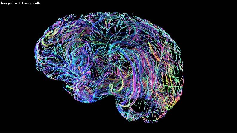 Understanding Adolescents: Emotion, Reason, and the Brain