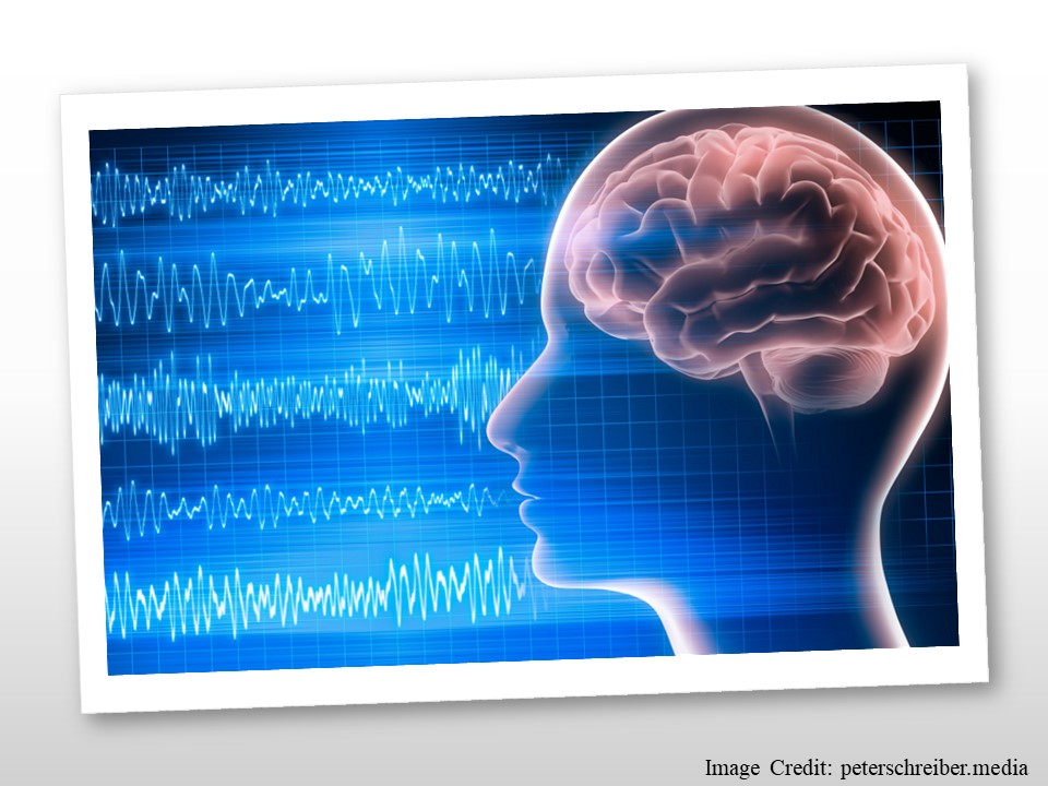 How Teachers Can Use Neuroscience in Education