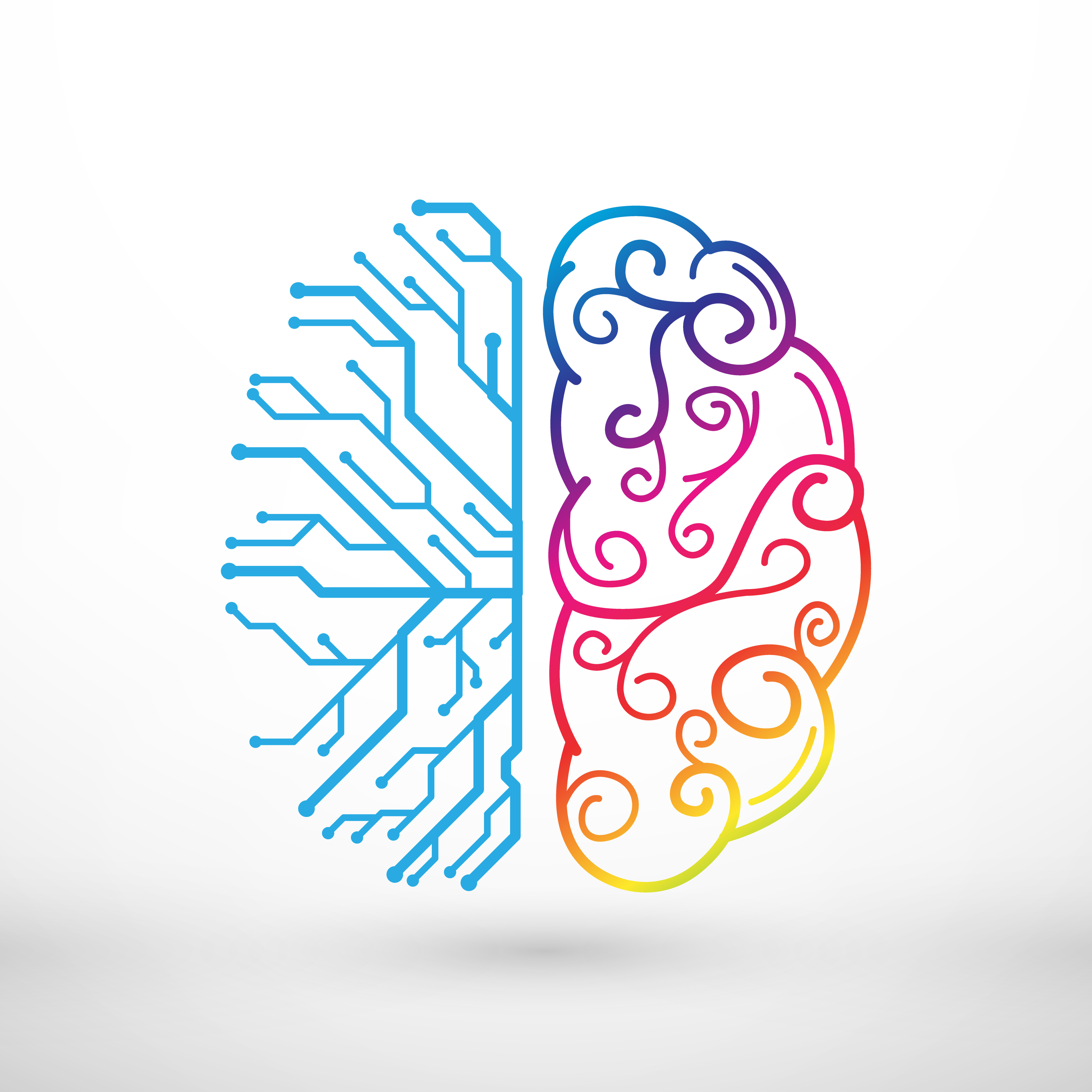 A conceptual image of a brain, falsely suggesting that the left hemisphere is computational and the right hemisphere is artistic